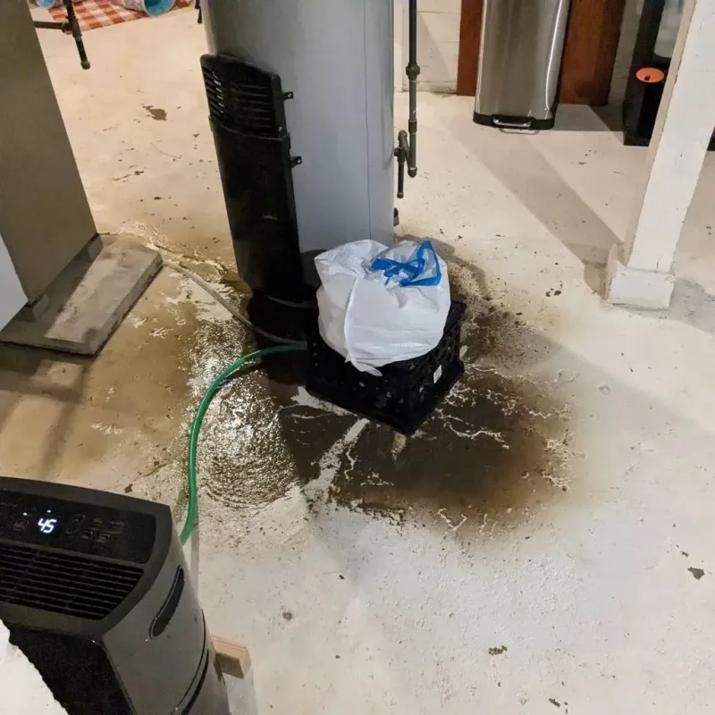 Sewage Backup Cleanup Service in Capitan, NM